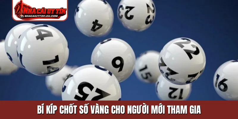 Bí kíp chốt số vàng cho người mới tham gia
