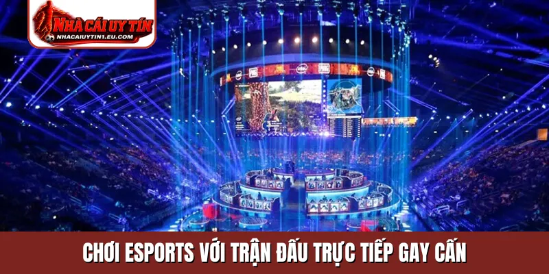 Chơi Esports với trận đấu trực tiếp gay cấn