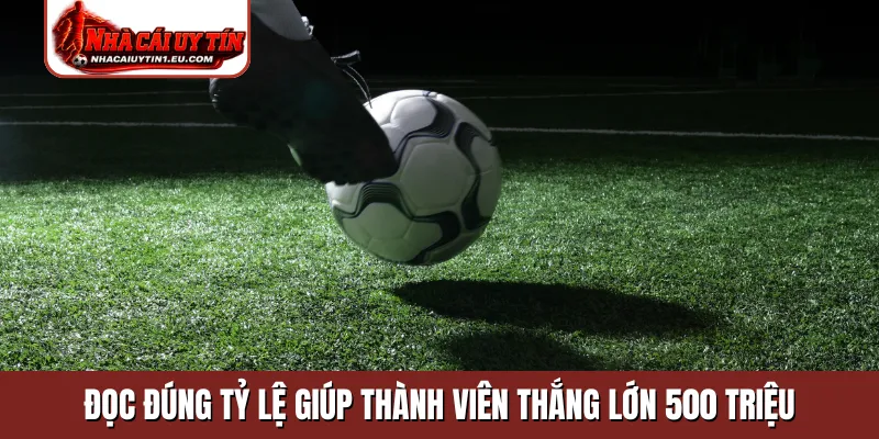 Đọc đúng tỷ lệ giúp thành viên thắng lớn 500 triệu