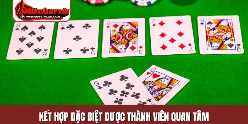 Kết hợp đặc biệt được thành viên quan tâm