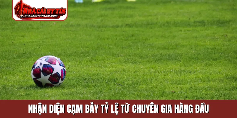 Nhận diện cạm bẫy tỷ lệ từ chuyên gia hàng đầu