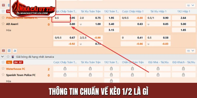 Thông tin chuẩn về kèo 1/2 là gì